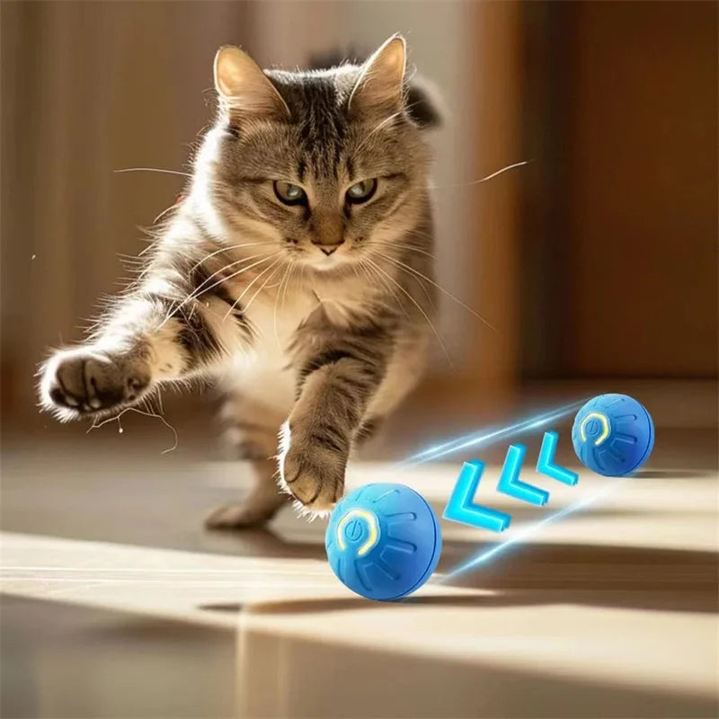 Bola Interativa para PETs - MAGIC BALL